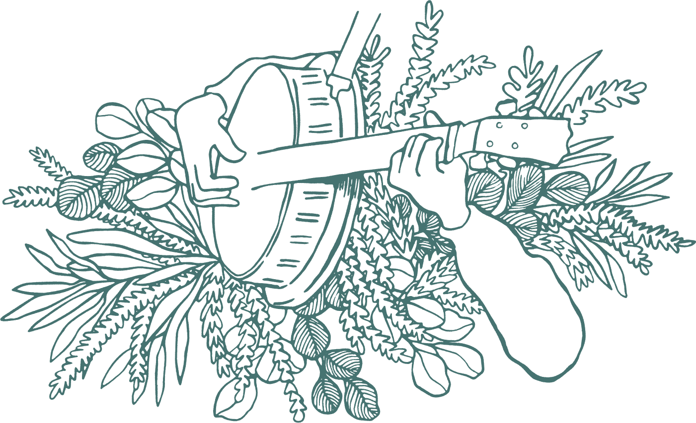 Illustration of banjo and leaves